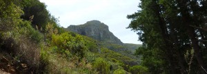 Table Mountain Elephant's Eye hike