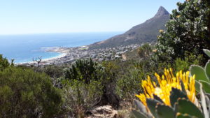 Camps Bay / Lions Head