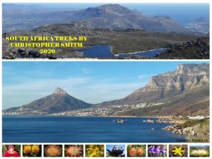 Table Mountain Brochure