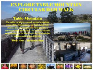 Table Mountain dams