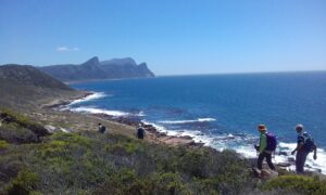 Cape Point Hike